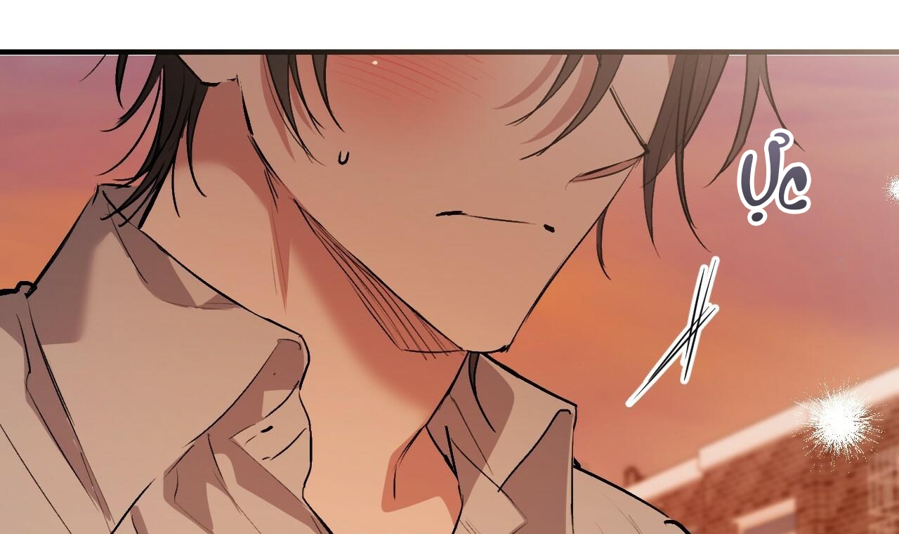 đàn thỏ của habibi chapter 42 231