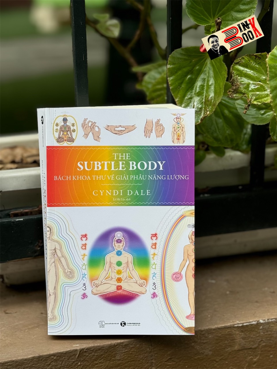 THE SUBTLE BODY: BÁCH KHOA THƯ VỀ GIẢI PHẪU NĂNG LƯỢNG - Cyndi Dale – Lê Hà Lộc dịch - Thái Hà –NXB Thế Giới
