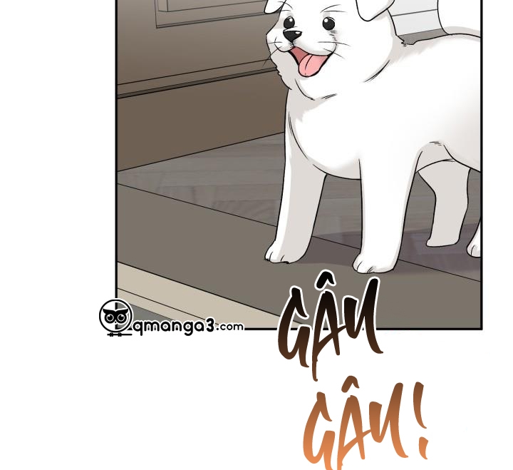 xác suất tình yêu chapter 62 3