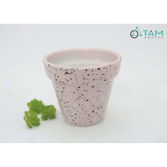 Chậu gốm mini trồng cây để bàn số 61