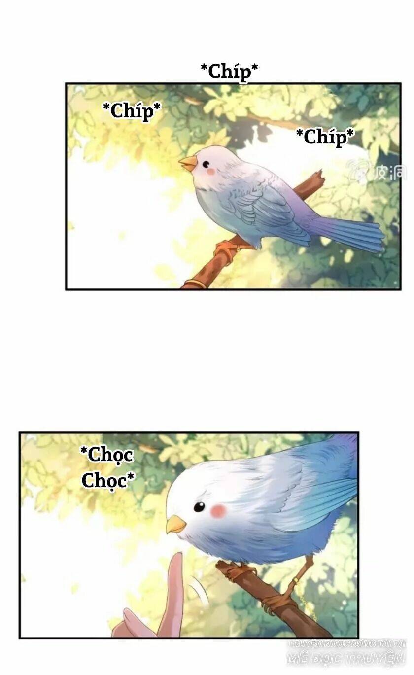 theo đuổi hoàng tử quá khó a~ chapter 96 6