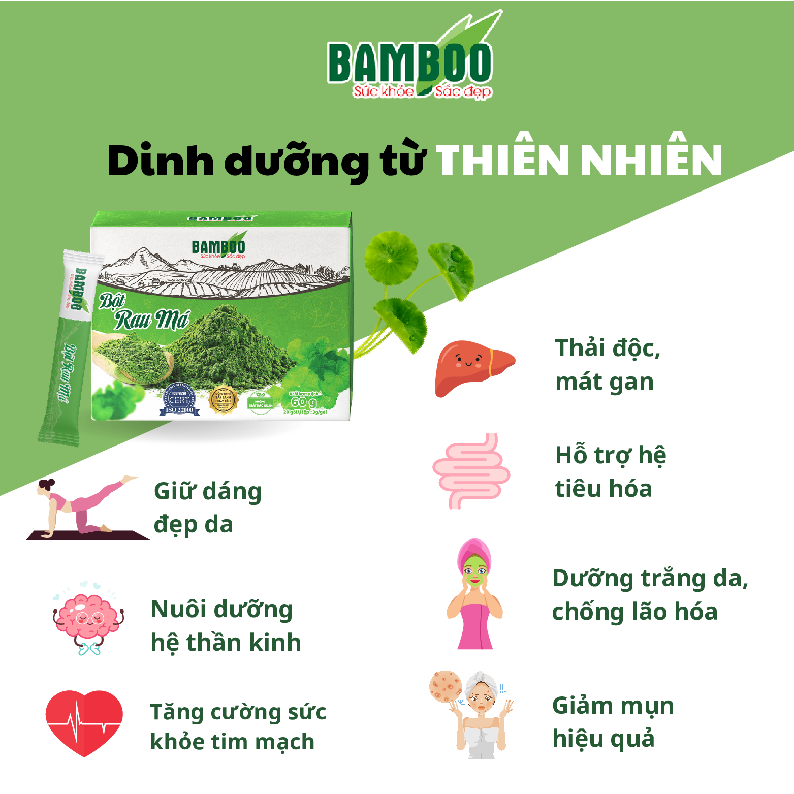 Combo 2 Bột rau má BAMBOO nguyên chất, siêu mịn hộp 60g/ 20 gói