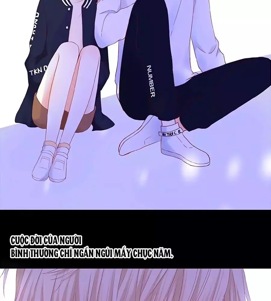 hoa chưa nở rộ chapter 21 53