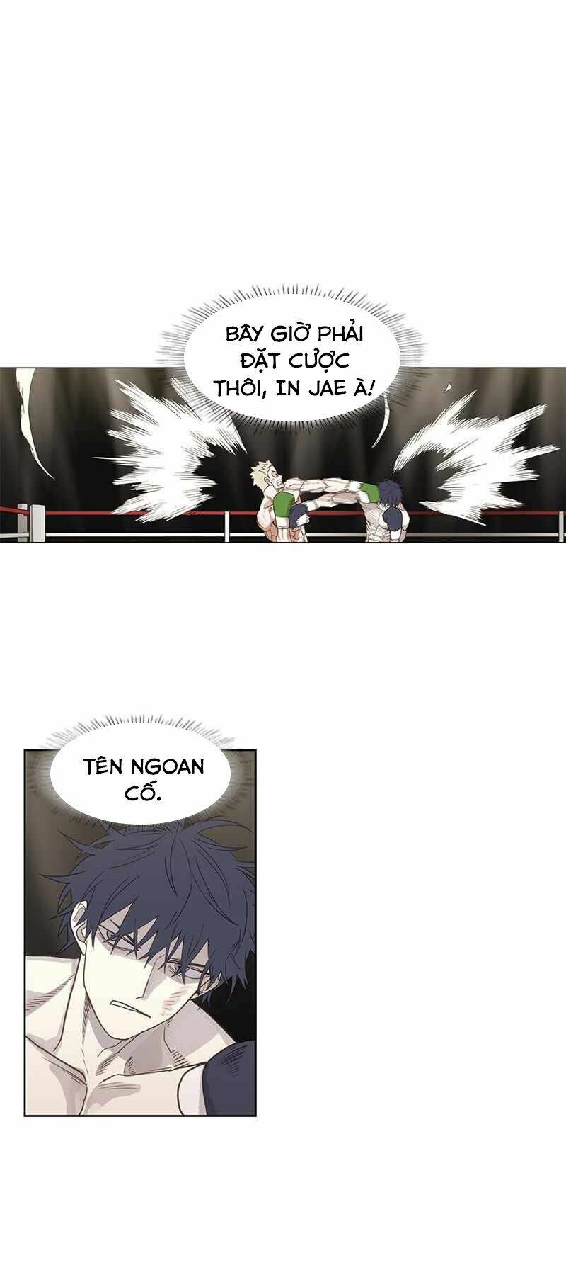 võ sĩ - the boxer chapter 112 31