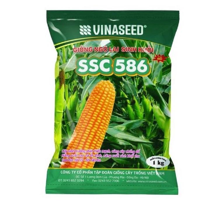 500G HẠT GIỐNG NGÔ SINH KHỐI SSC586 - GIỐNG CHUẨN