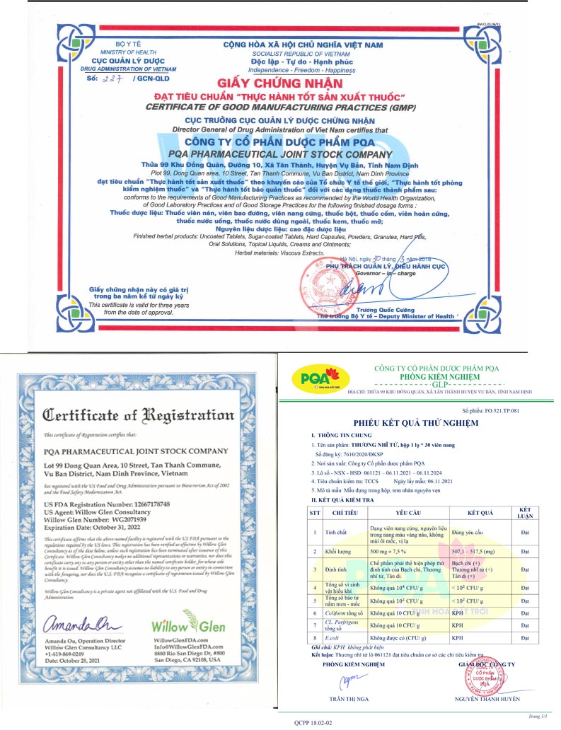 Thương Nhĩ Tử PQA Hỗ Trợ Thông Mũi, Giảm Hắt Hơi Và Đau Nhức Vùng Đầu Trán Hộp 30 Viên