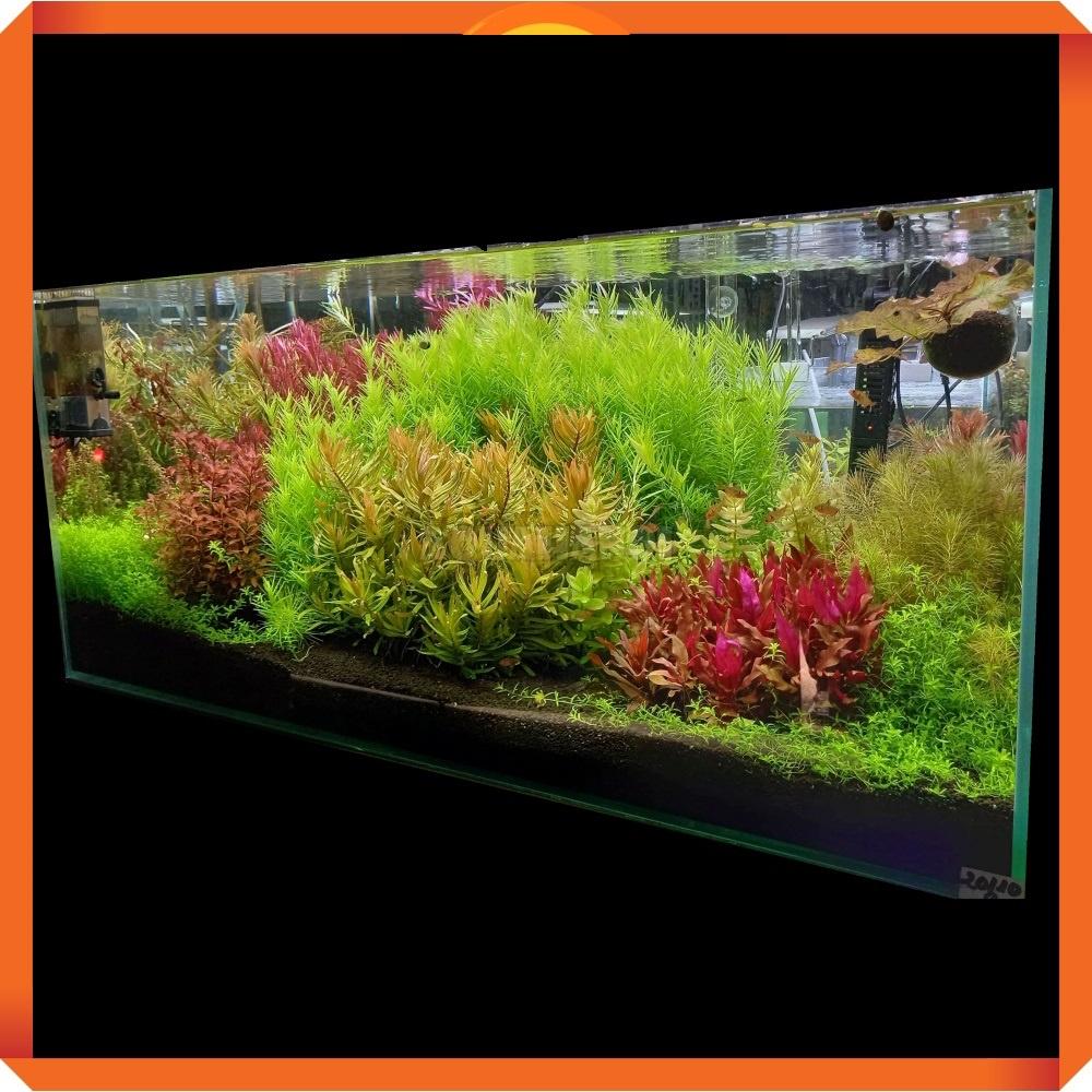 Phân nền Nhật Bản Aqua Best cho bể thuỷ sinh - Nền cho hồ tép - phụ kiện cá cảnh- shopleo