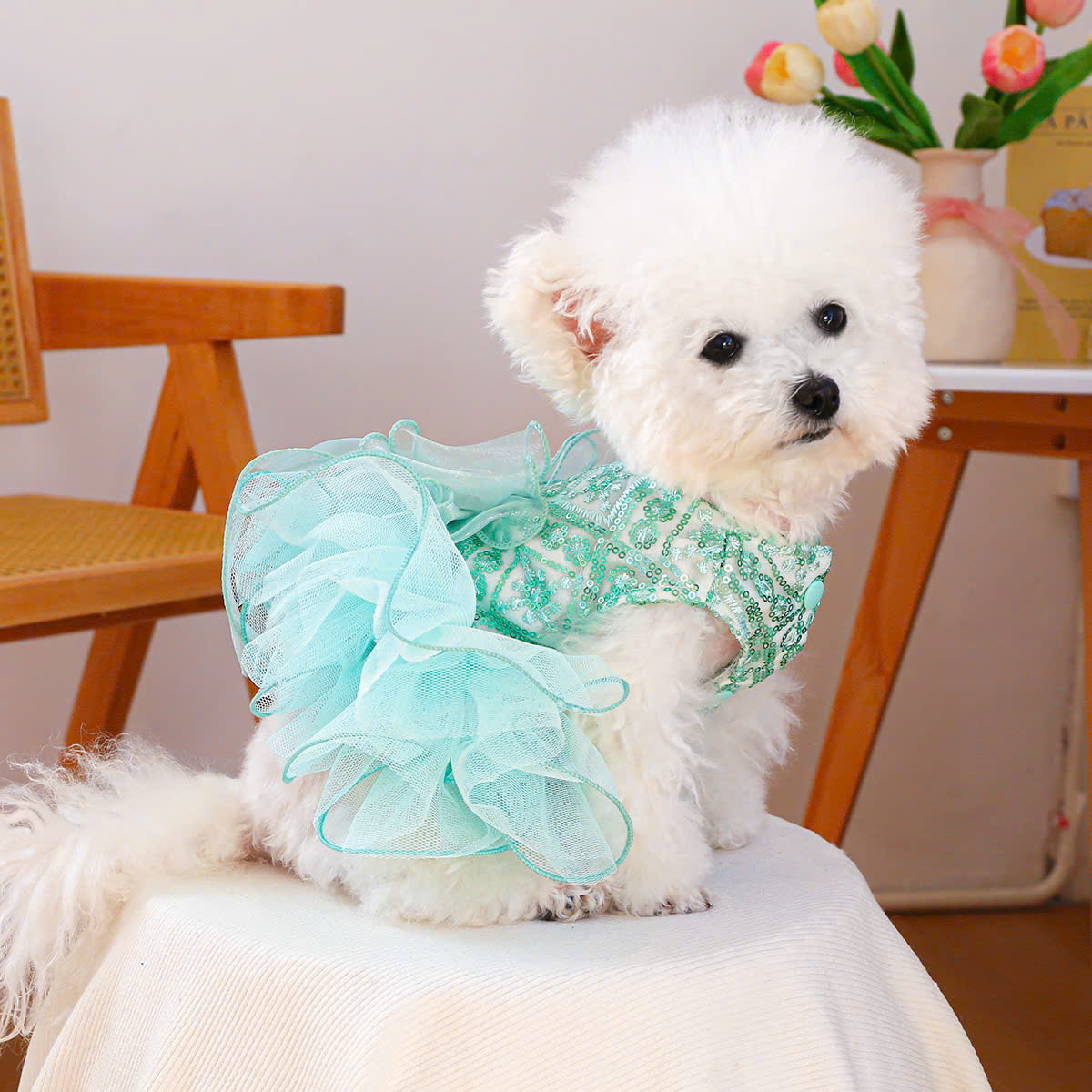 VÁY KIM SA XOÈ SIÊU XINH TỪ 0.5-9KG  DÀNH CHO THÚ CƯNG CHÓ MÈO