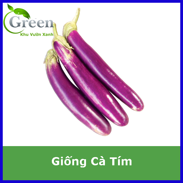 Hạt Giống Cà Tím Không Xơ Chất Lượng