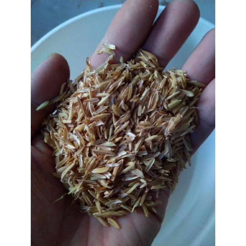 1kg vỏ trấu tươi trộn đất trồng cây, rau- lót chuồng trại