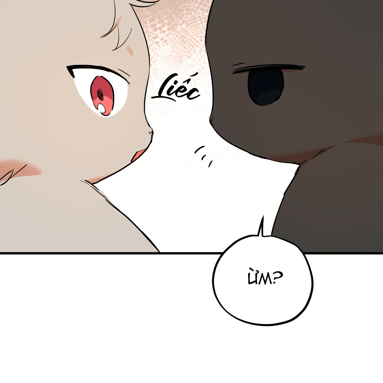 những chú thỏ của hapypy chapter 10 145