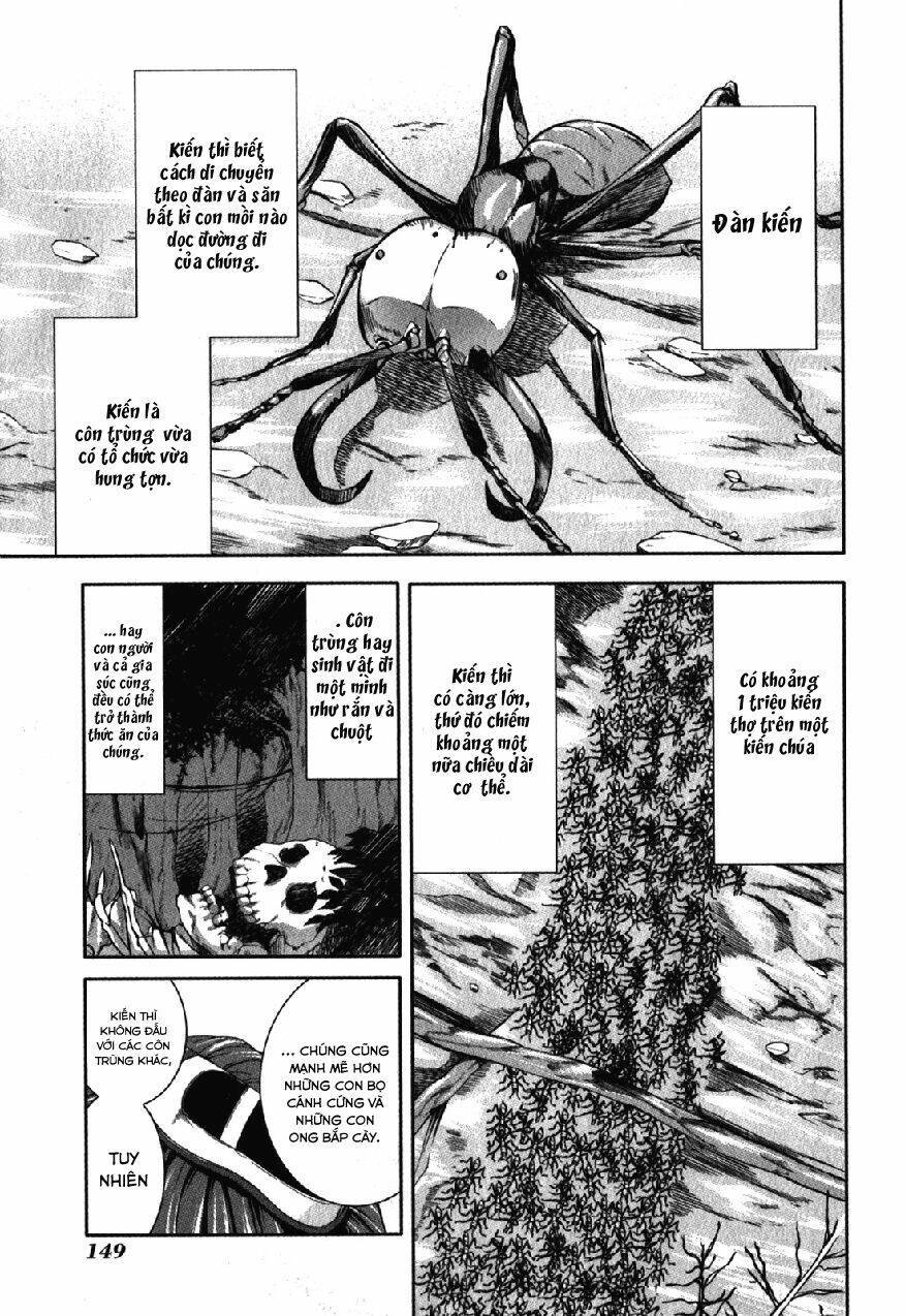 arachnid chapter 30 5