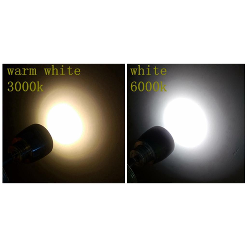 2Pcs LED Desk Lamp Heavy Duty Interior Reading Lights for Marine/Boat/RV