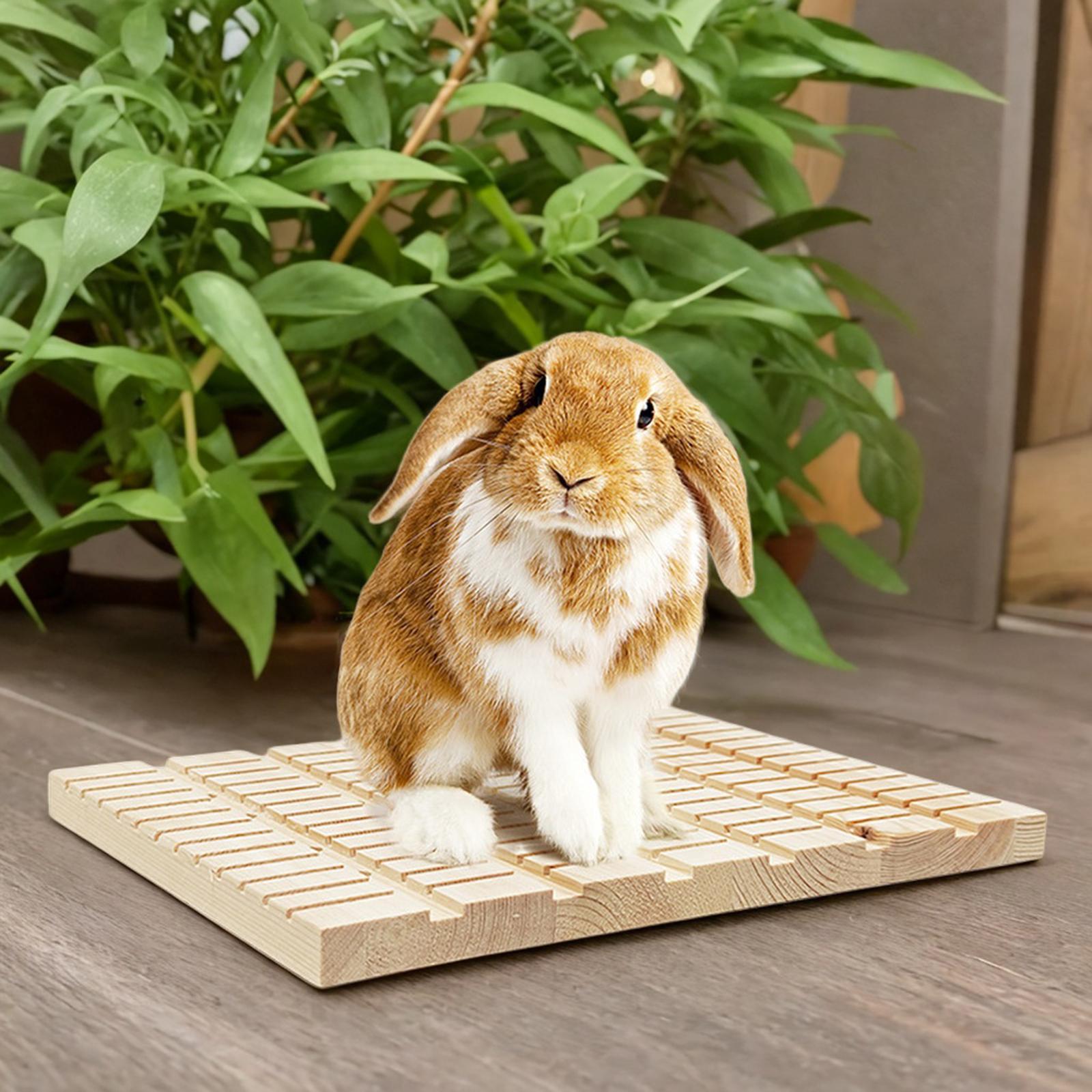 Rabbit Scratching Board Wooden Chew Toys for Chinchilla Rabbit Small Animals