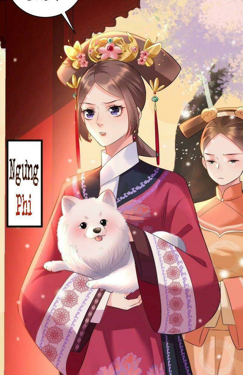 quận chúa vững vàng, thiết lập nhân vật không thể vỡ chapter 55 10