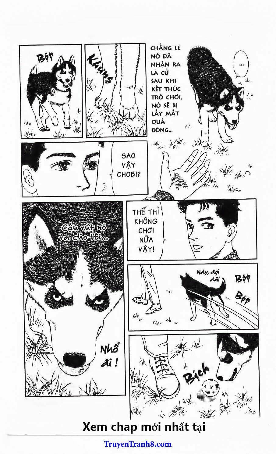 doubutsu no oishasan chapter 115 11