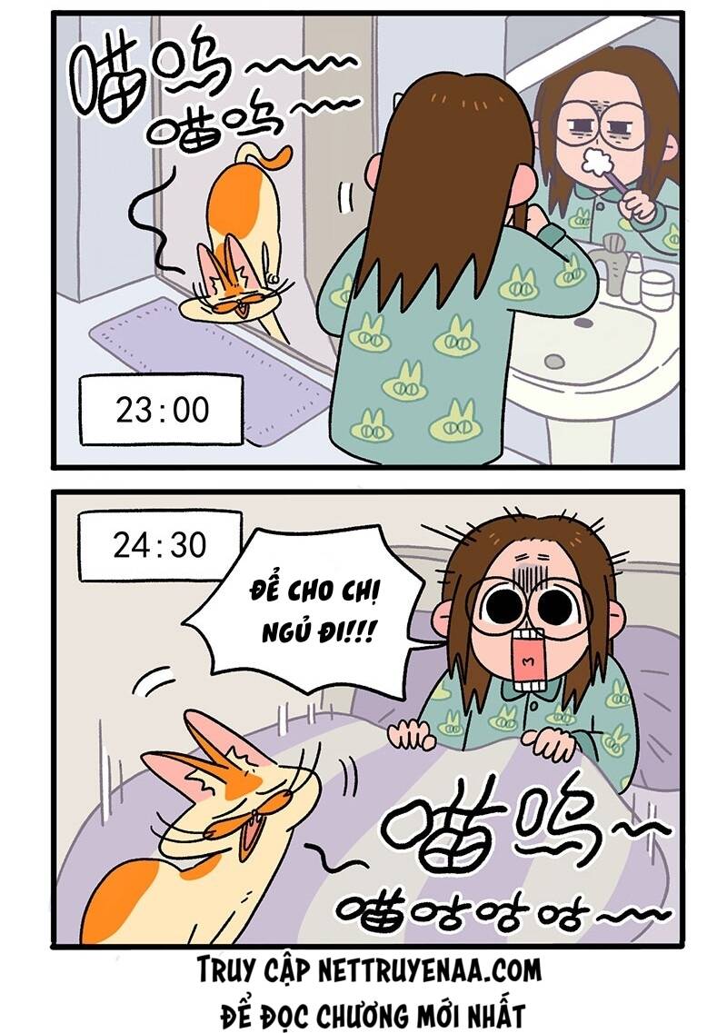 a mãn và mạch trà chapter 12 4