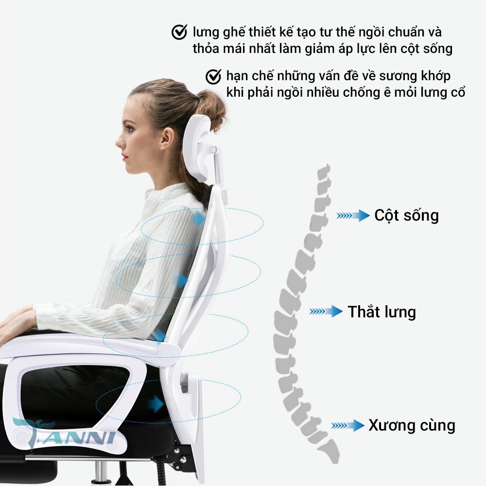 Ghế Xoay Văn Phòng Công Thái Học Có Ngả Lưng Premium V1 , Ghế Xoay Ngồi Làm Việc Ergonomic Cao Cấp Nhập Khẩu