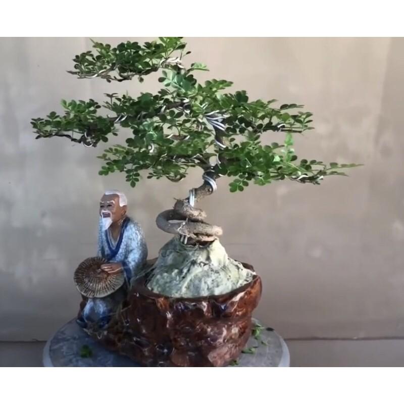 Chậu tượng bonsai ông lão đốn củi