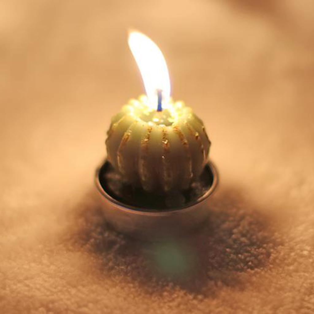 6 Pieces Quality Cactus Tealight Candles Tea Light Candle Holder Unscented Paraffin Wax Candles Vivid Plant Decoration Candles
