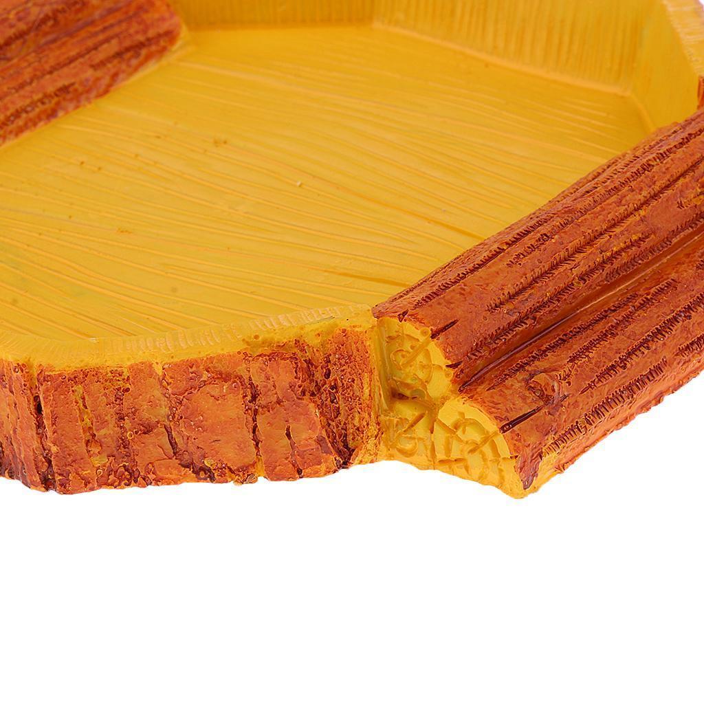 2Pcs Reptile Food Feed Dish Water Bowl for Tortoise Spider