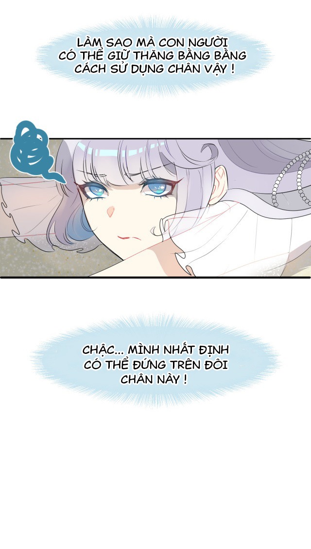 bộ váy của nàng tiên cá chapter 1 15