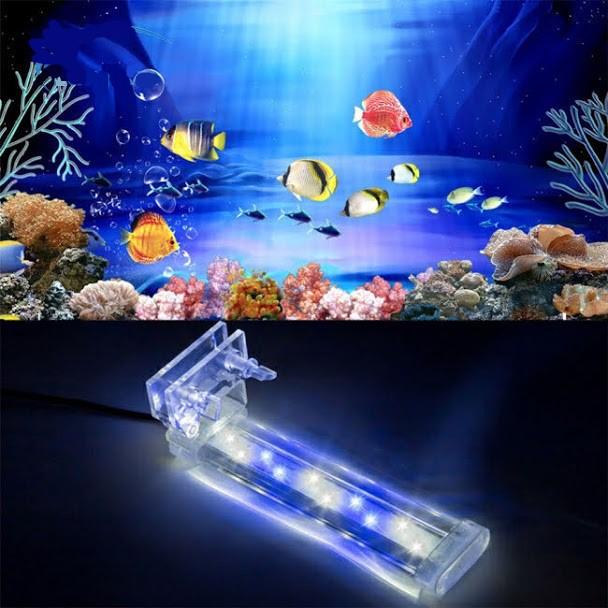 Đèn led gắn bể cá bể thủy sinh
