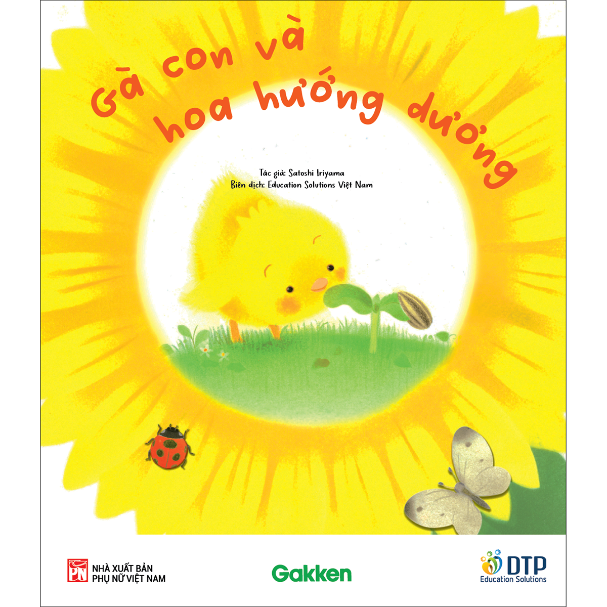 Gà con và hoa hướng dương
