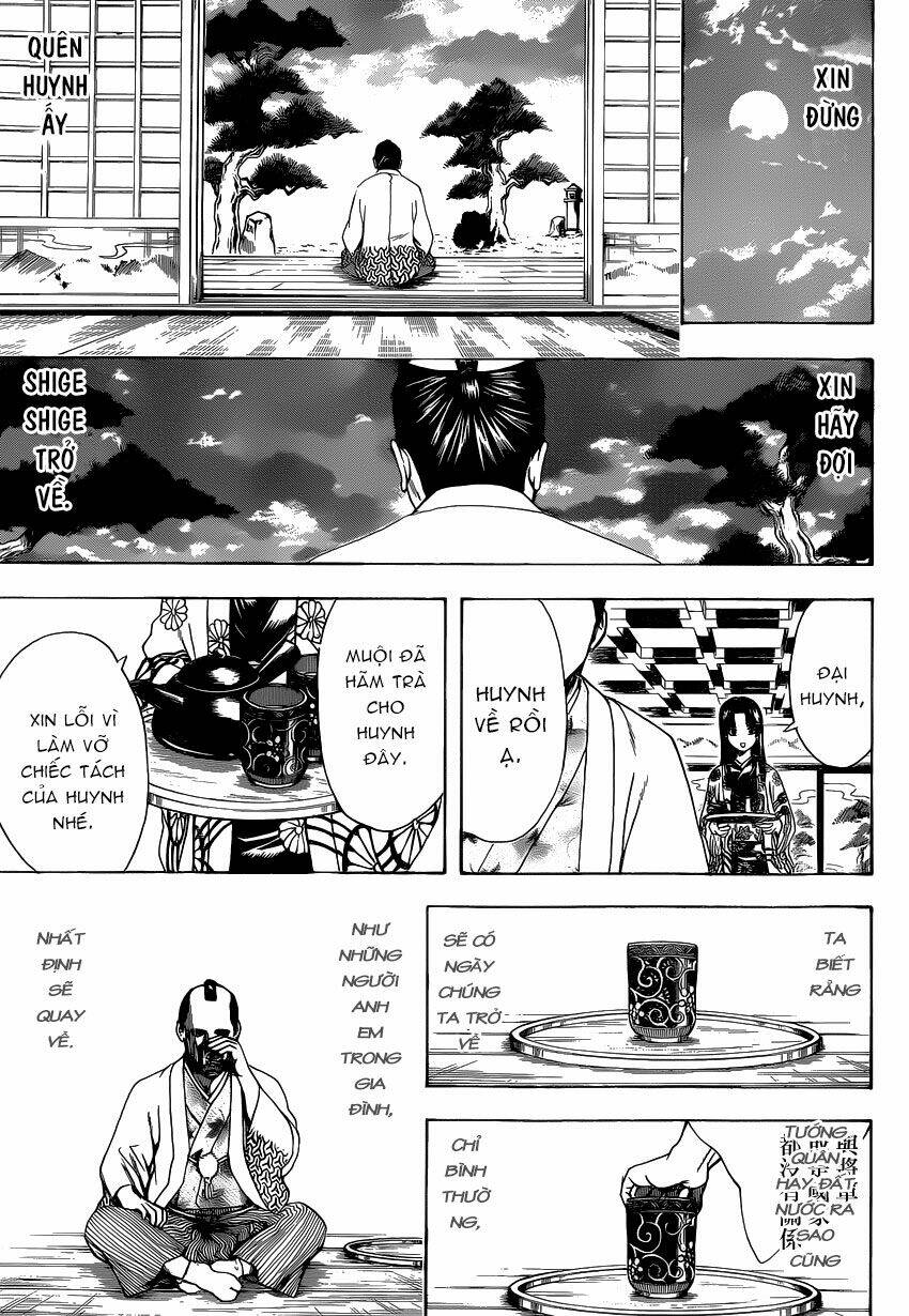 gintama - linh hồn bạc chapter 524 18
