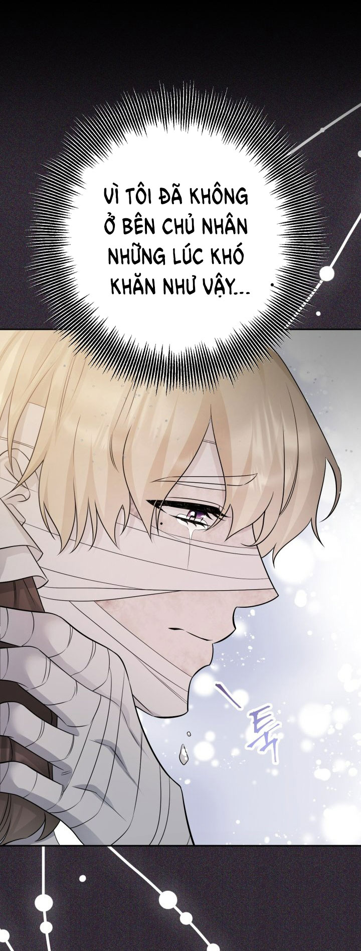 [18+] nếu cứu rỗi một cầm thú hư hỏng chapter 34.2 13