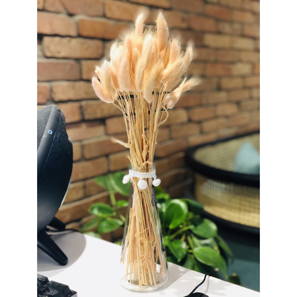 Hoa Trang Trí Đuôi Thỏ Đa Sắc