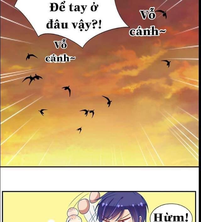 tống thống hống hách và cô gái ngây thơ chapter 6 19