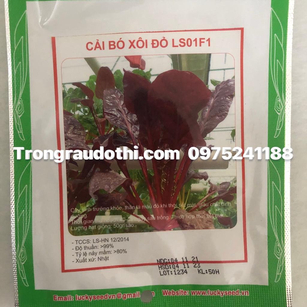 Hạt giống cải bó xôi xanh và đỏ