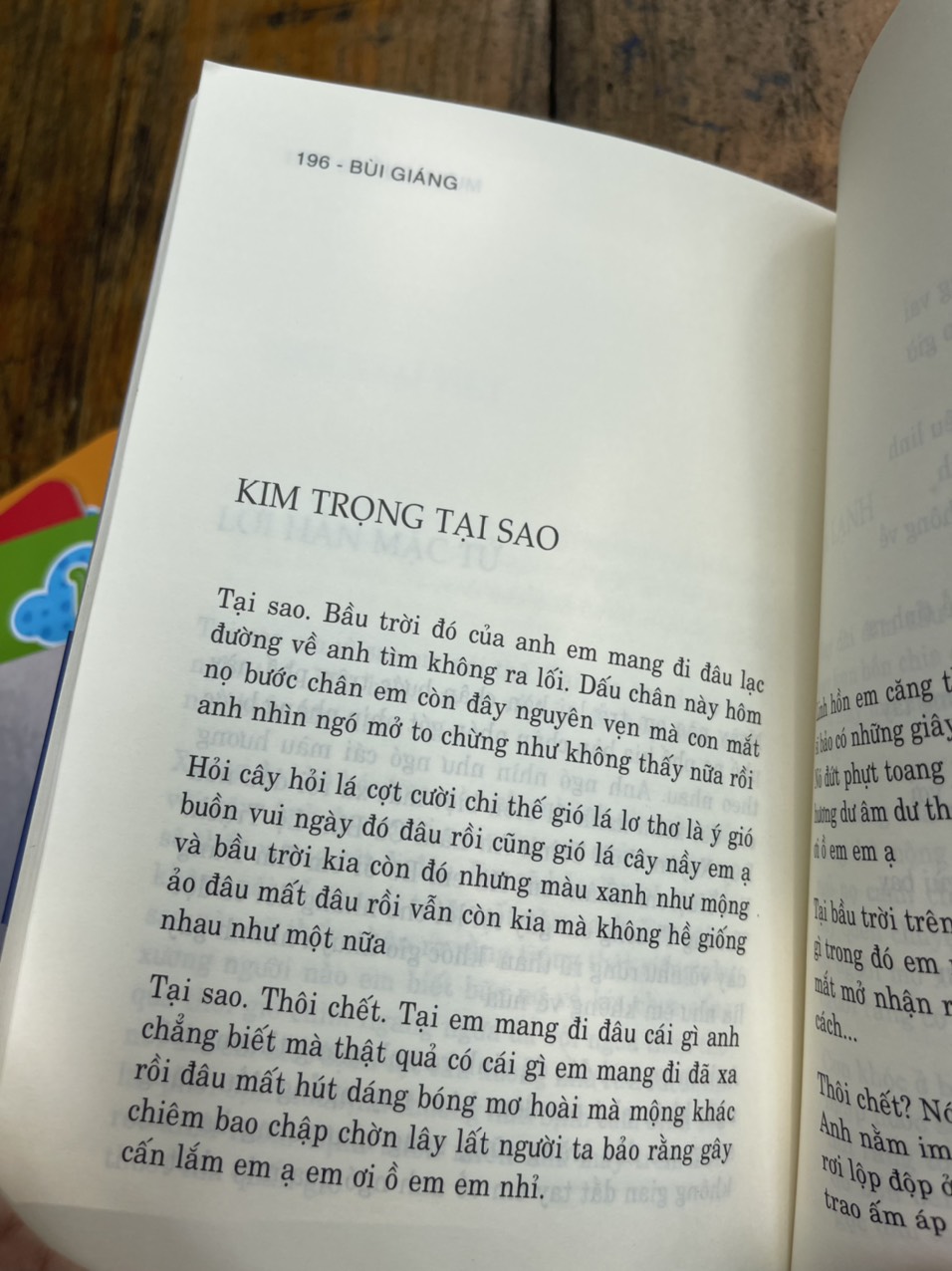 ) MƯA NGUỒN - Bùi Giáng - Thư Quán Hạnh Phúc – bìa mềm