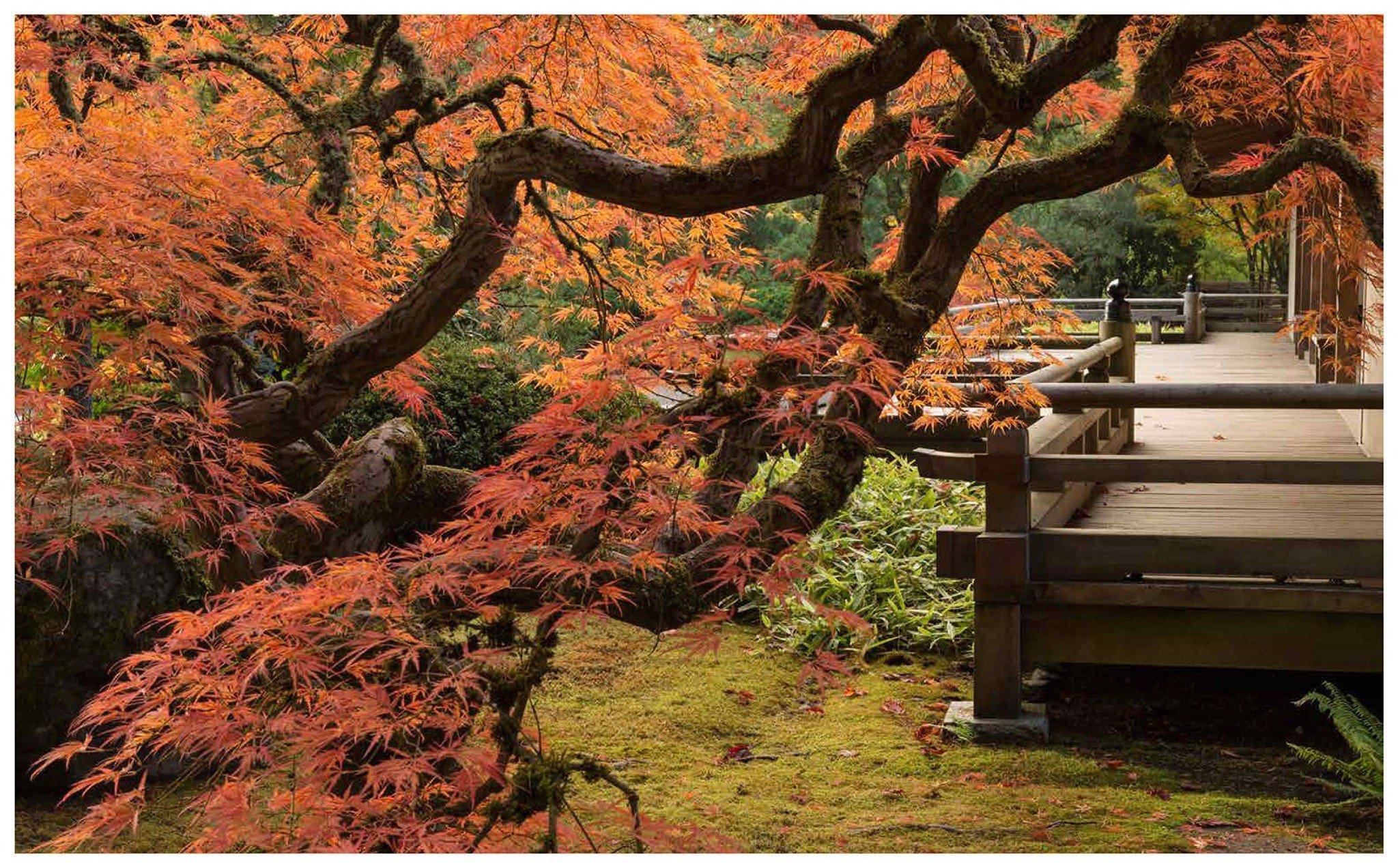 Kengo Kuma: Portland Japanese