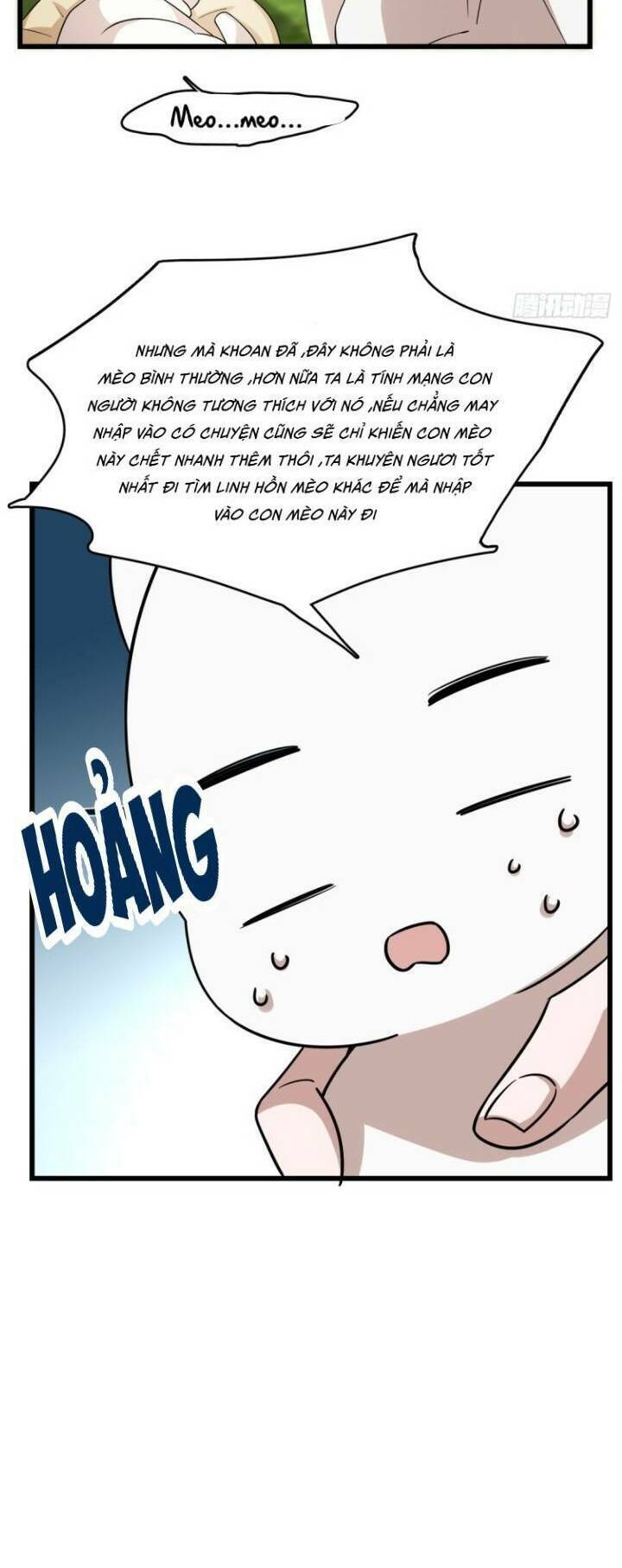 độc bộ thiên hạ: đặc công thần y chapter 183 16