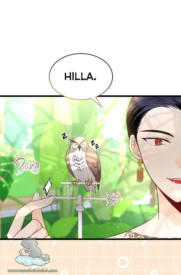 quan hệ cộng sinh giữa báo đen và thỏ trắng chapter 61 16