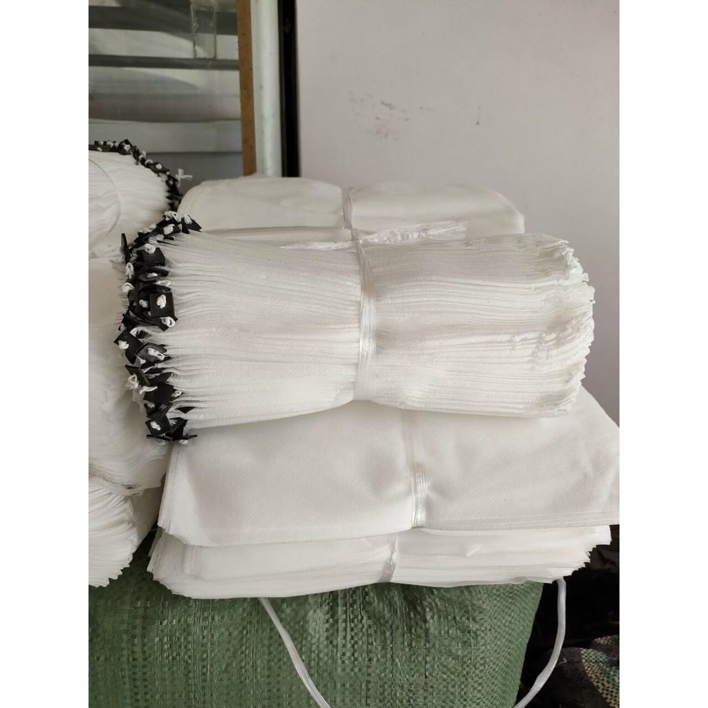 100 BAO TRÁI BƯỞI NHỎ CỠ 25*30