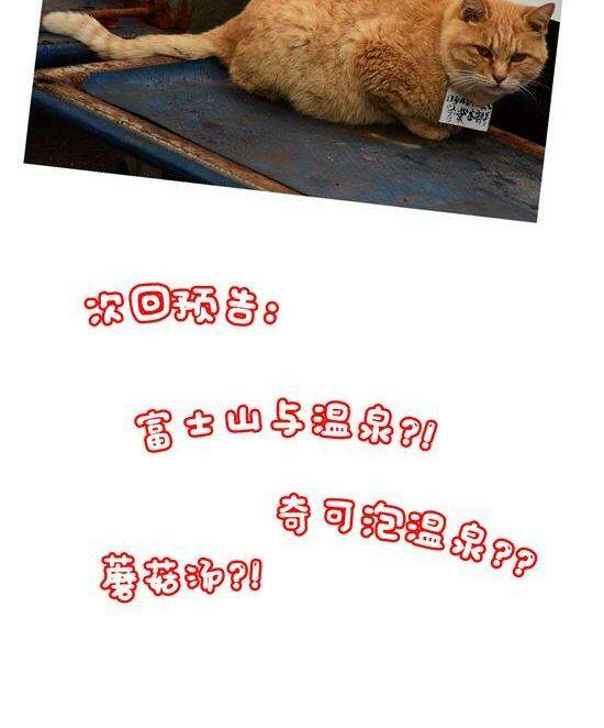 cây nấm kì khả chapter 30 9