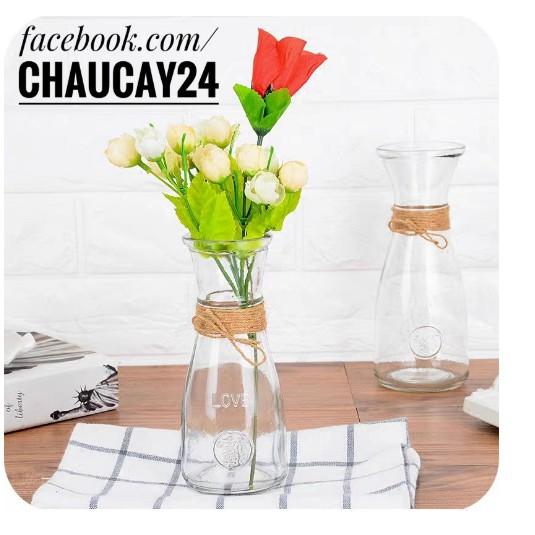 Ly , Lọ thủy tinh cắm hoa trang trí cực đẹp