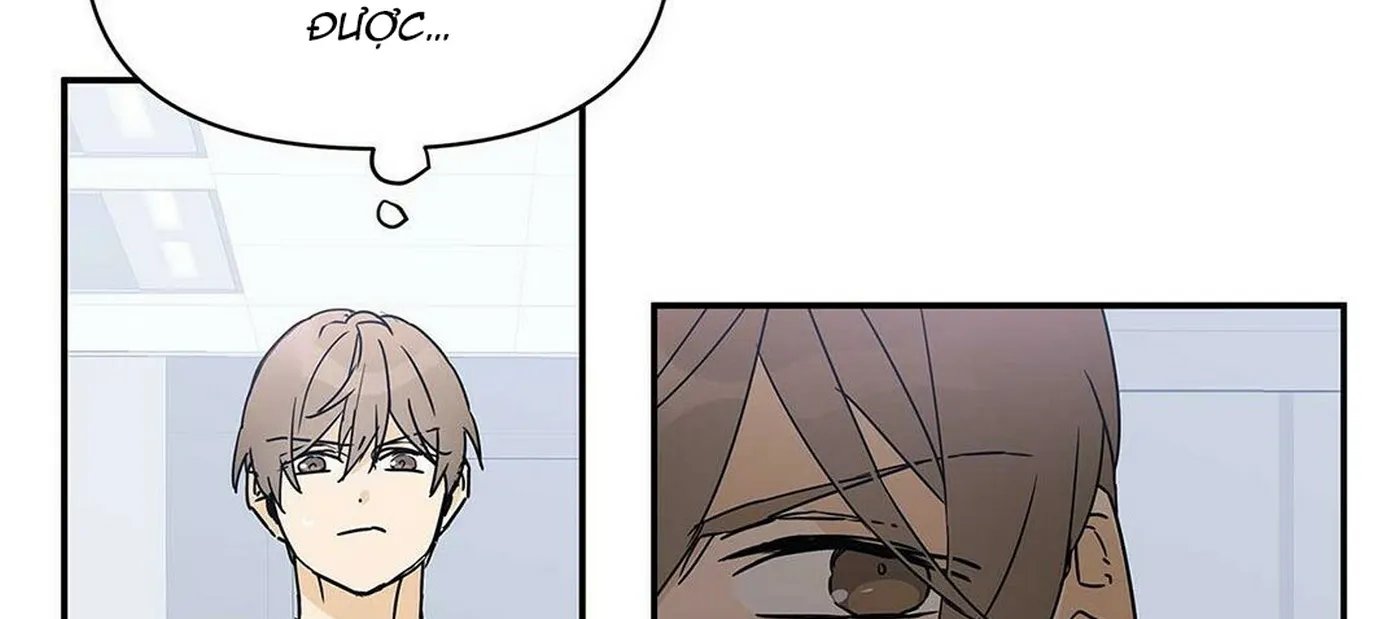 guide cấp b chapter 5 51