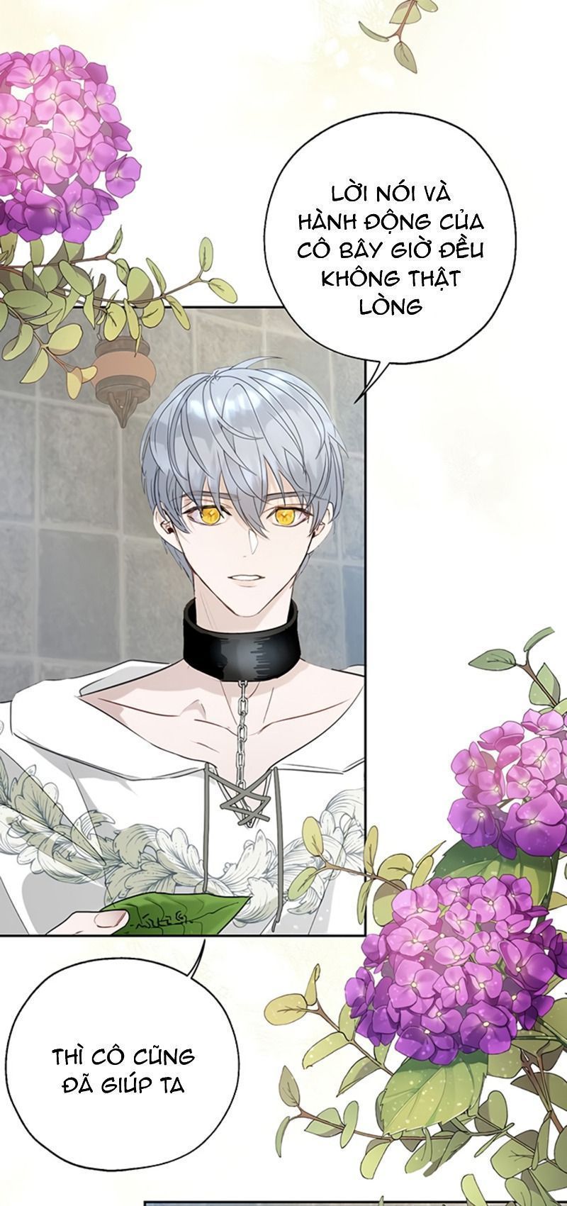 cách để cứu rỗi anh trai của nữ chính chapter 19 53