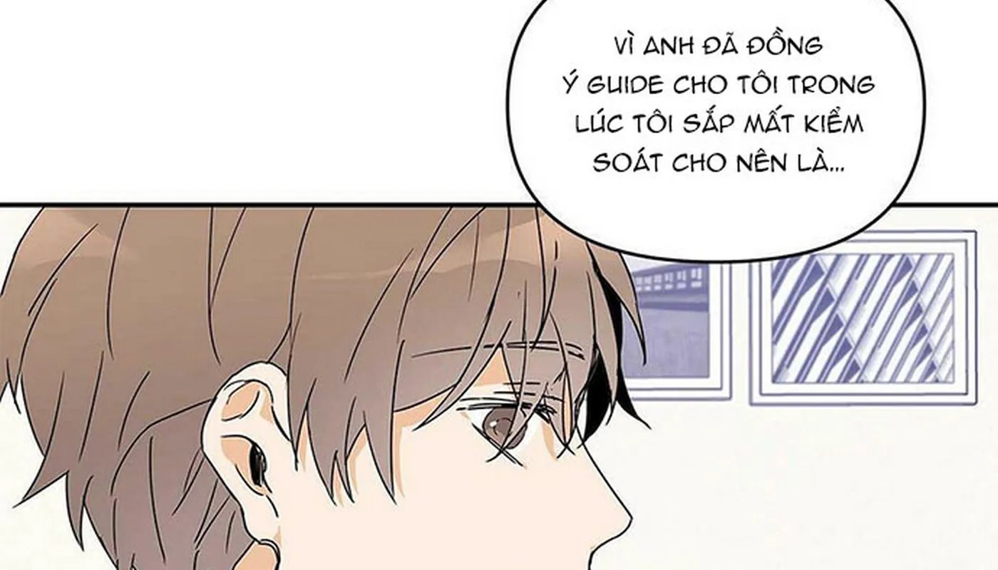 guide cấp b chapter 7 124