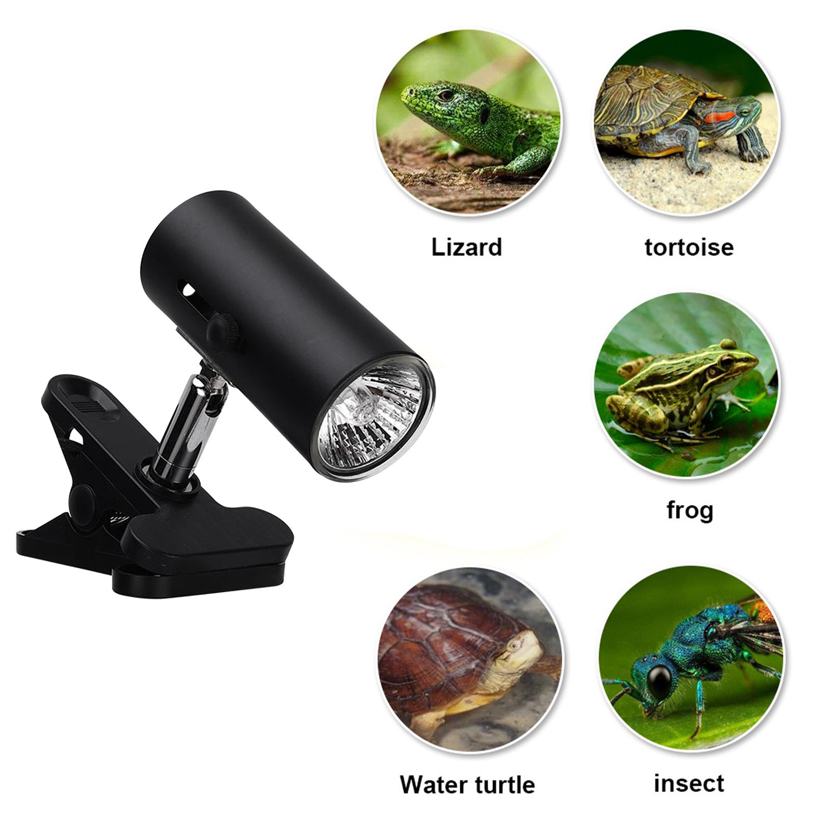 Đèn sưởi cho động vật bò sát thằn lằn, rùa...có đế kẹp