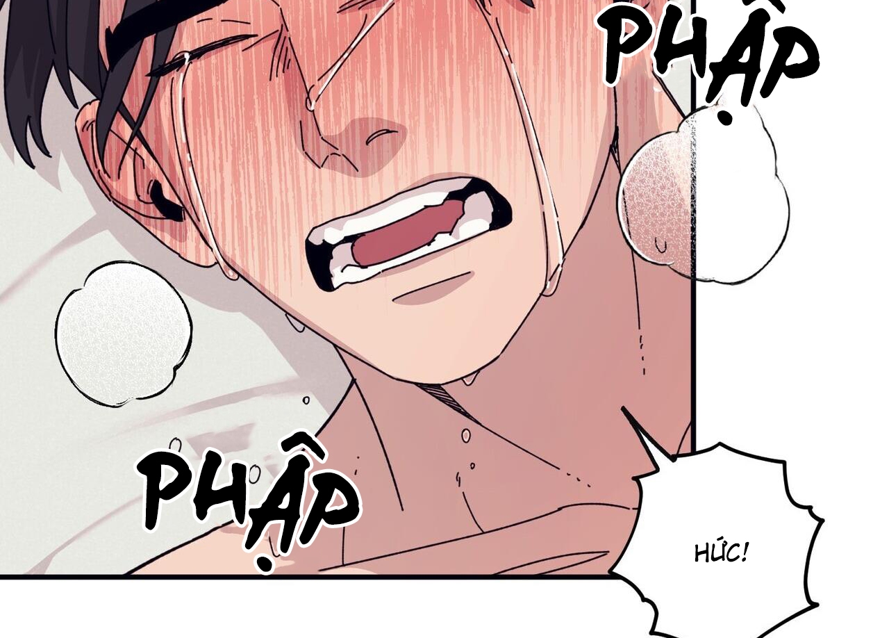 chàng dâu nhà họ kang chapter 44 150