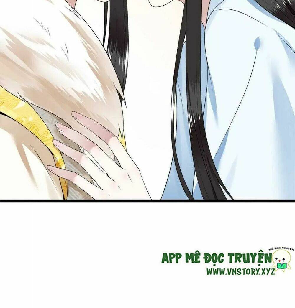 phượng hoàng vu phi chapter 116 38