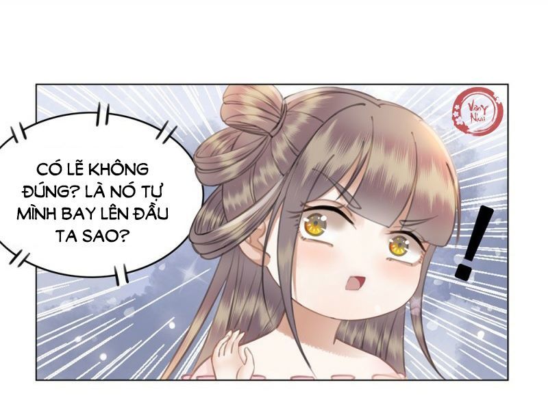 gay rồi! cái đó thành tinh rồi chapter 39 22