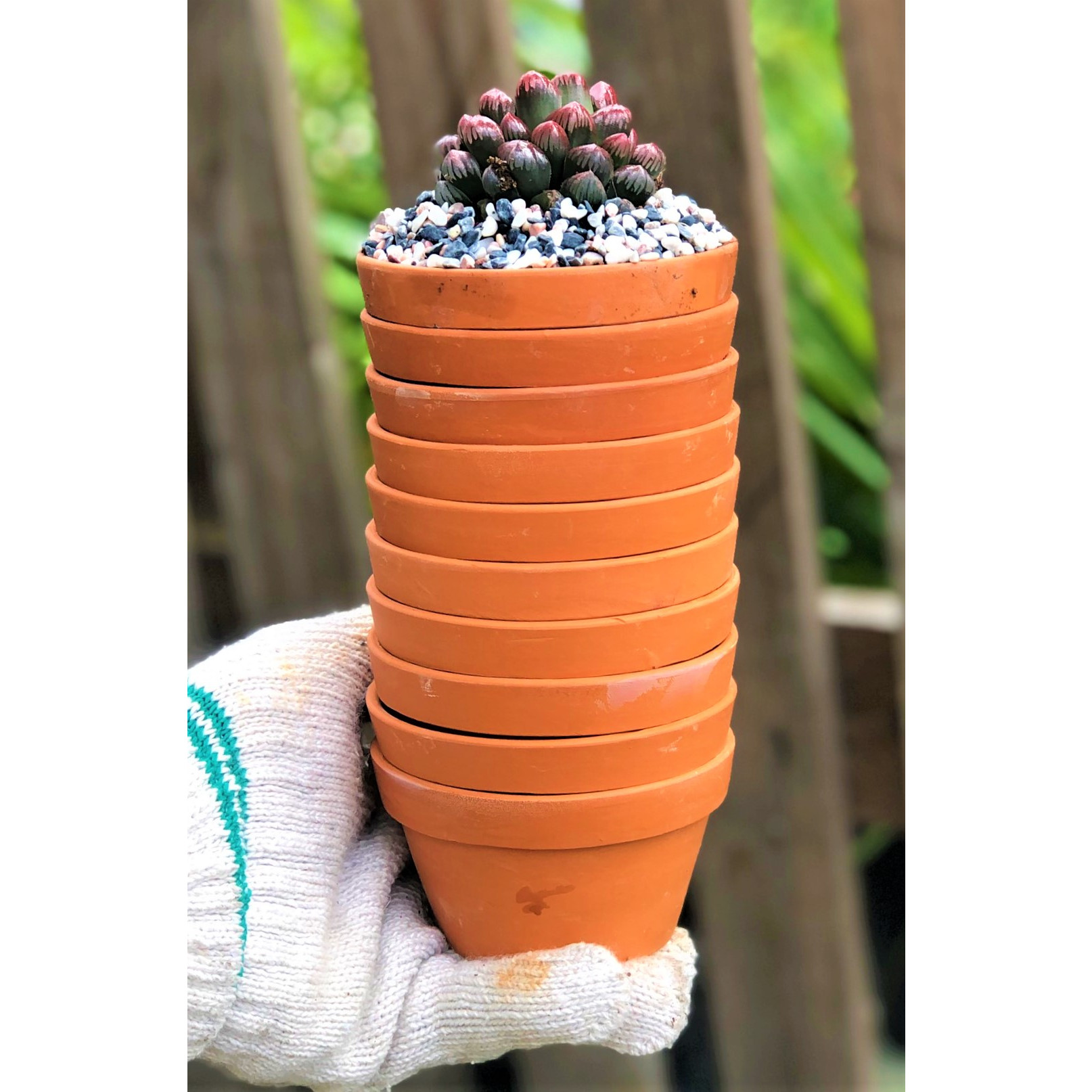 Bộ 10 chậu đất nung trồng xương rồng sen đá Rộng 9 cm x Cao 5,5 cm