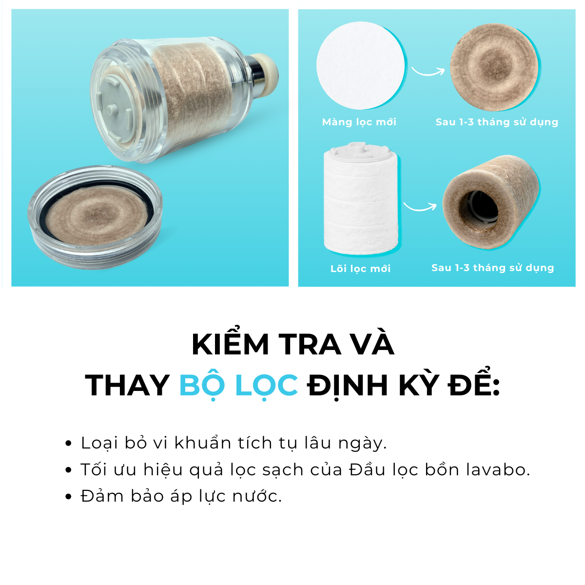 Combo Lõi Lọc Nước, Màng Lọc Thay Thế Cho Đầu Vòi Bồn Rửa Tay, Rửa Chén Daily Aqua - Loại Bỏ Vi Khuẩn