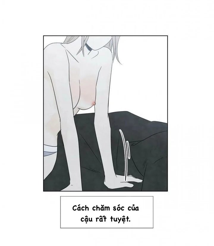 summer solstice point chapter 15 35